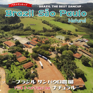 BR0010