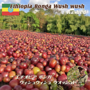 ETHI0023