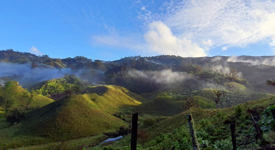 メキシコドンラフェアナエロ風景サムネイル画像