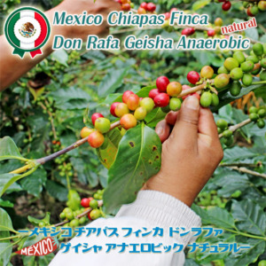 MEX0002