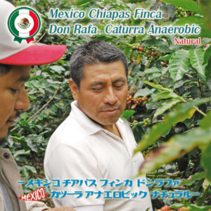 MEX0004