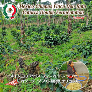 MEX0005