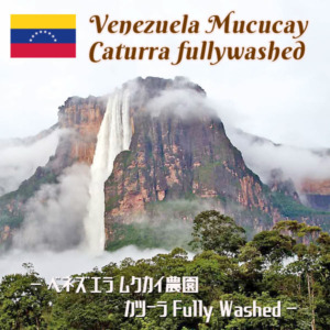 ベネズエラ001サムネイル