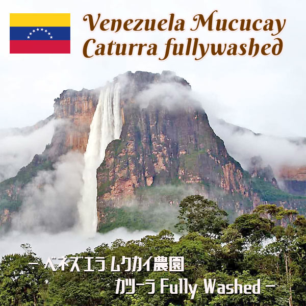 ベネズエラ ムクカイ農園 カツーラ