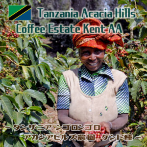 タンザニア アカシアヒルズ ケント AAサムネイル01