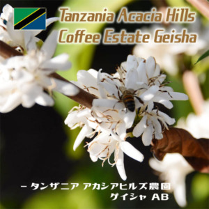 タンザニアアカシアヒルズゲイシャサムネイル001