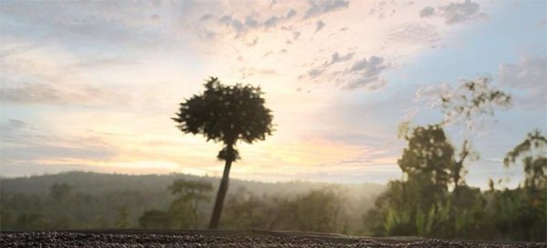 テキスト挿入用画像002