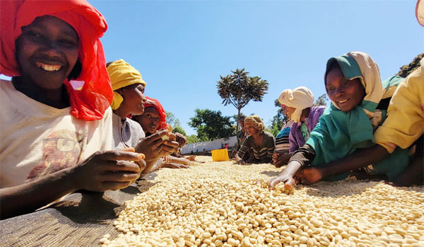 テキスト挿入用画像001