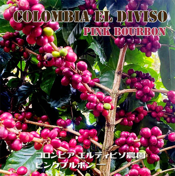 コロンビア-エルディビソアイ