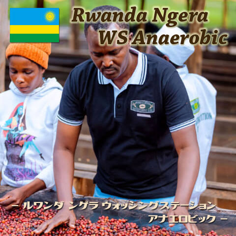 ルワンダ ンゲラ ウォッシングステーション アナエロビック