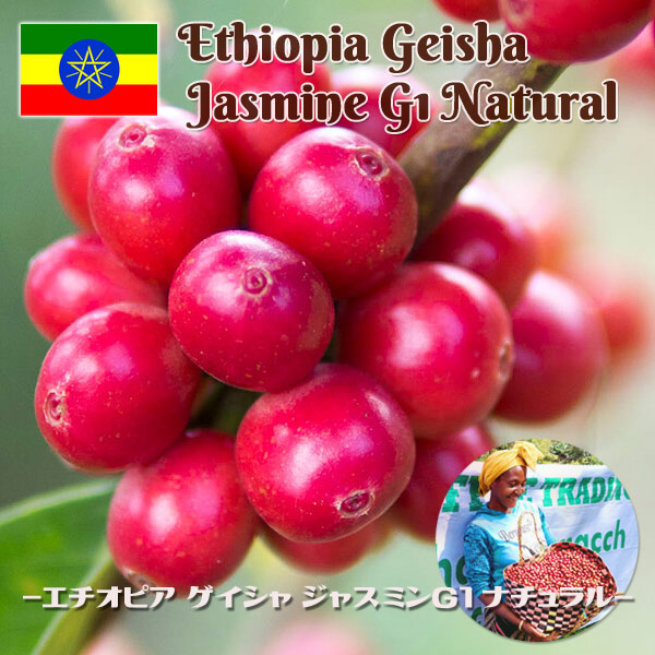 エチオピア ゲイシャ ジャスミンG1 ナチュラル