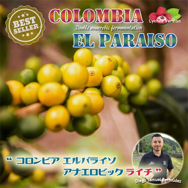 コロンビア エルパライソ アナエロビック ライチ